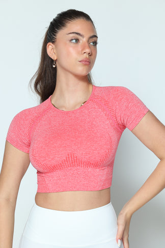 דגם בייסיק - חולצה קצרה